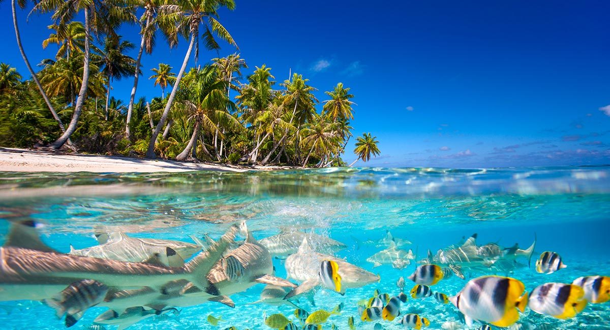 Isla de la Polinesia Francesa bajo el agua y sobre ella