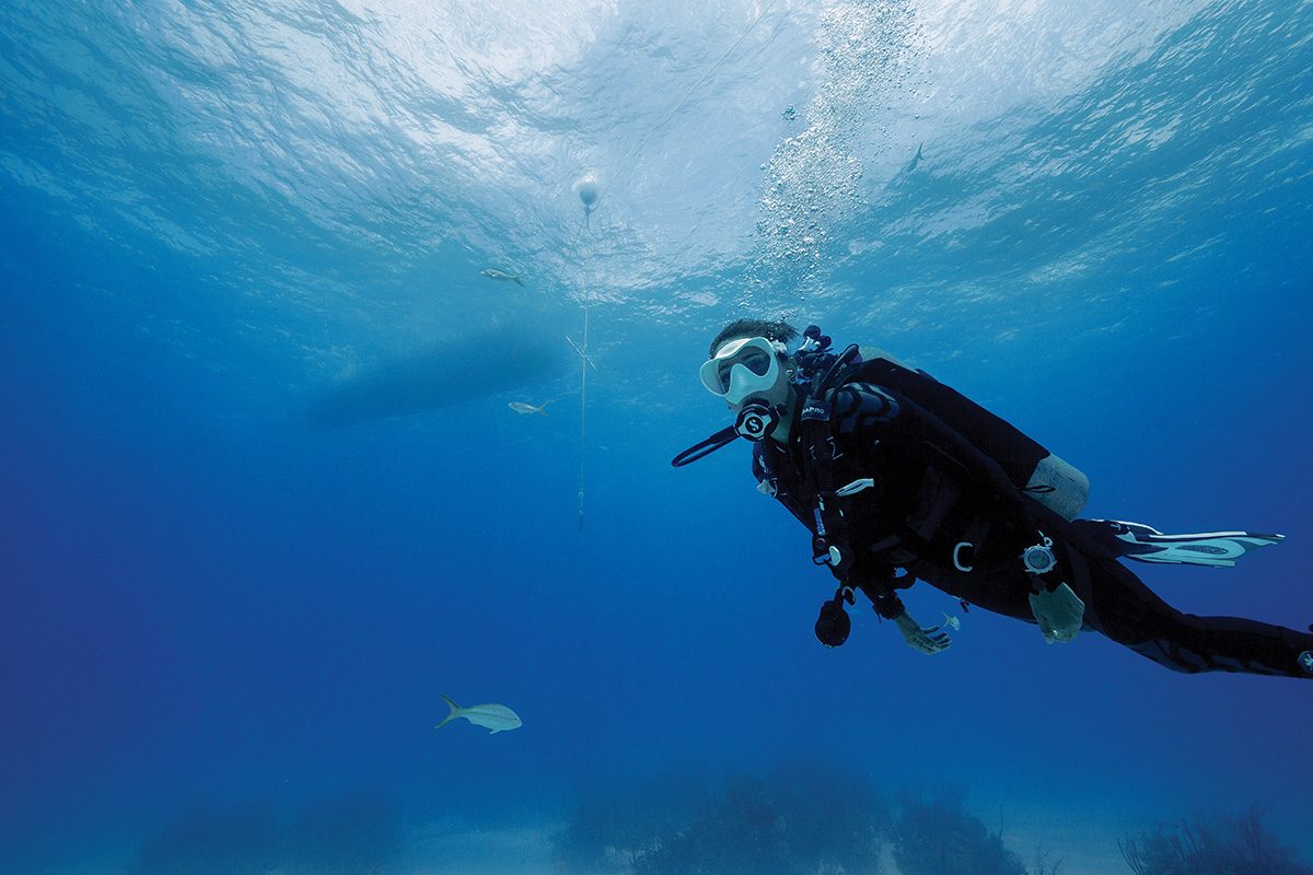 Safe Diving Practices DAN World