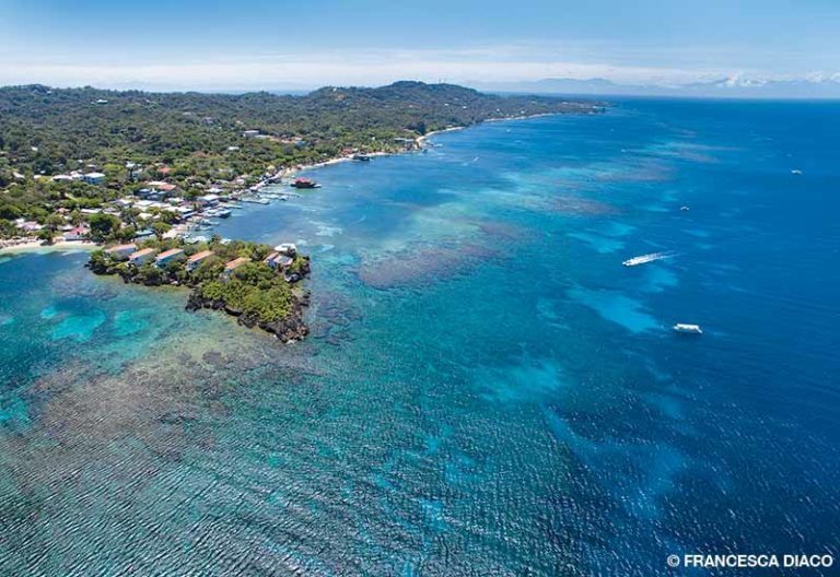 An Insider’s Guide to Roatán DAN World