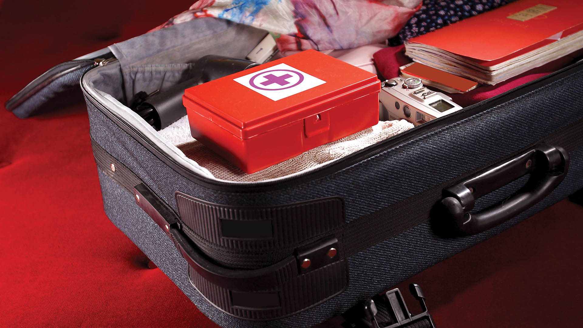 Travelers Medical Guide DAN World