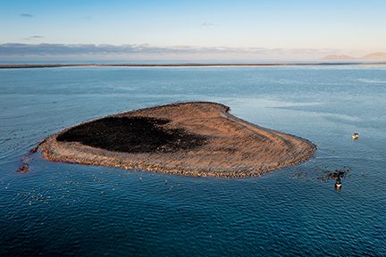 Pulau Burung di jantung Teluk Magdalena