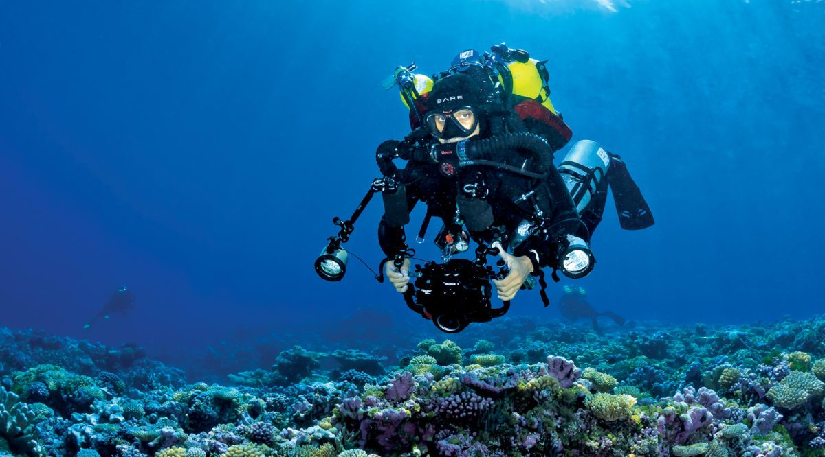 Rocha searches the reef for unknown fish species