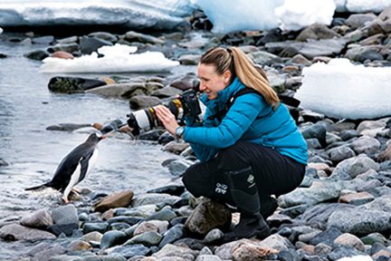 Schott photographs penguins