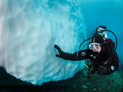 diving in Antartica