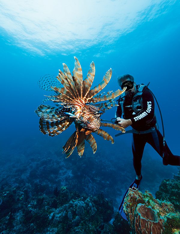 diver with lionfish