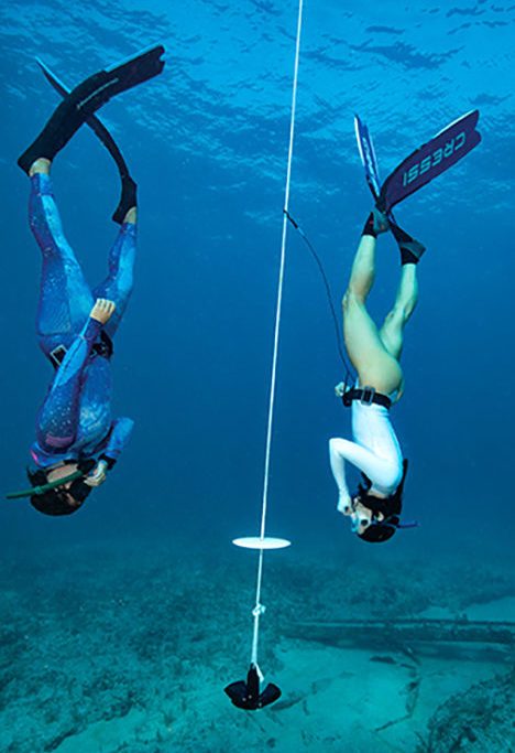 los buceadores comparten la línea durante la parte de inmersión de peso constante de la sesión en aguas abiertas
