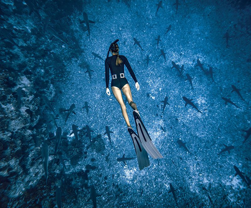 Rachel Moore menyelam bebas ke dalam kumpulan hiu karang abu-abu