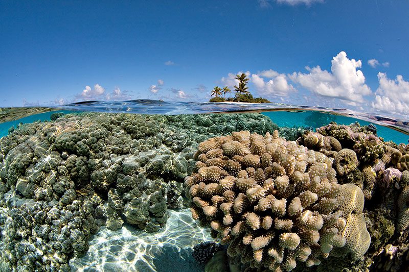 terumbu karang dangkal dan pulau kecil di lepas pantai Fakarava