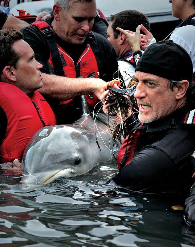 menyelamatkan lumba-lumba jantan yang terjerat oleh alat tangkap ikan monofilamen dan kepang yang dibuang