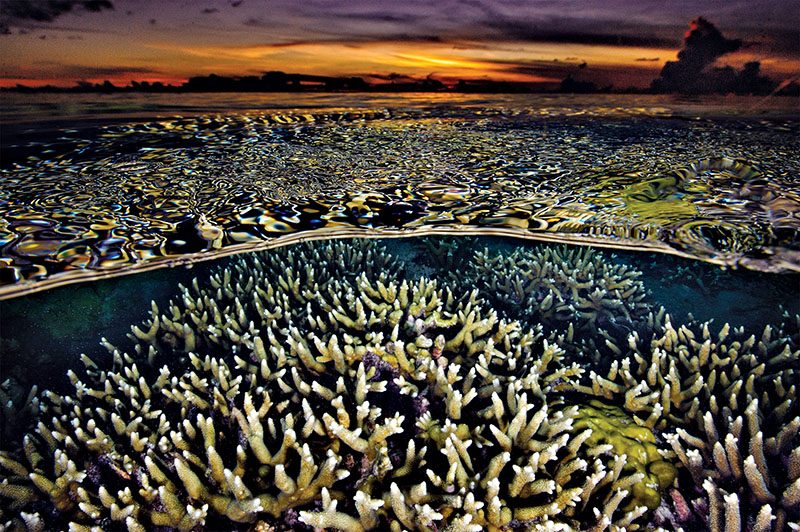 Matahari terbenam memancarkan cahaya keemasan di perairan dangkal yang kaya akan terumbu karang