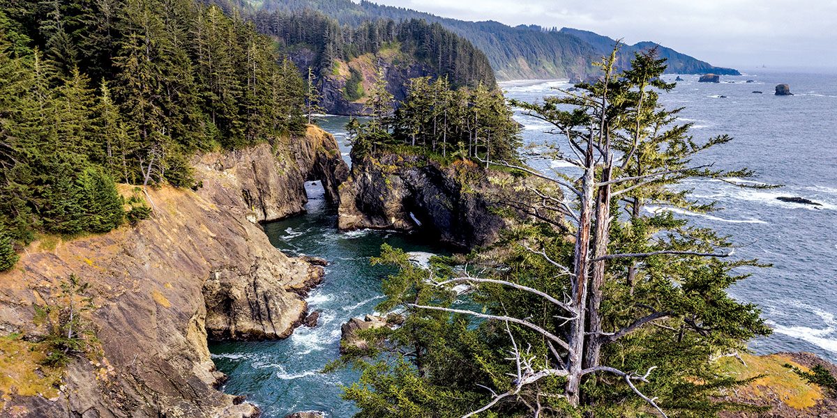 Natural Bridges Viewpoint on the southern Oregon coast