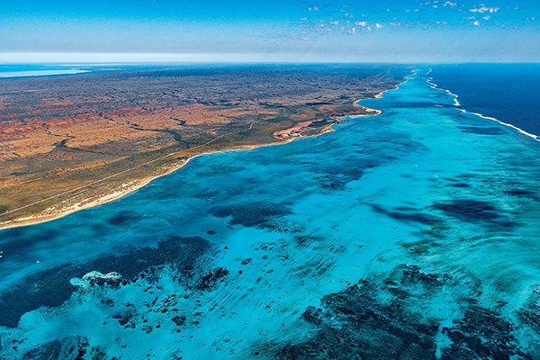 Ningaloo Reef DAN World