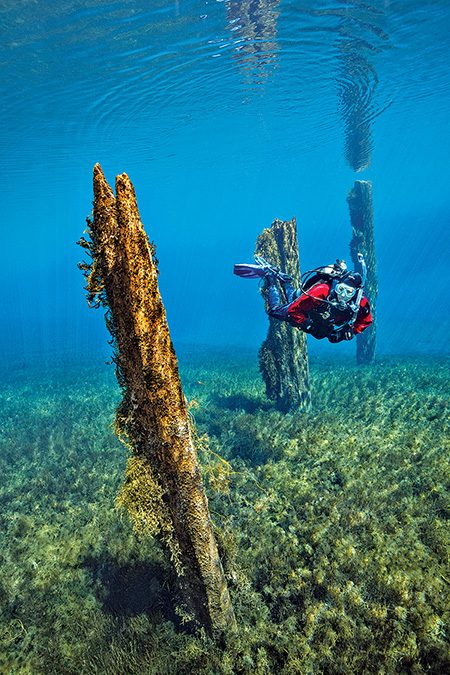 diver swims in Clear Lake in central Oregon