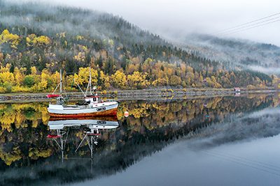 fishing boat in the calm waters of the fjord