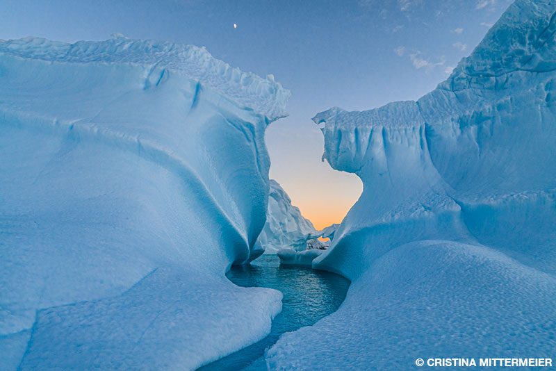 icebergs in Antartica