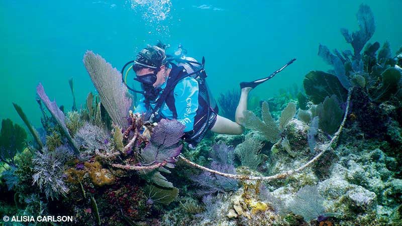 Diver removes underwater marine debris