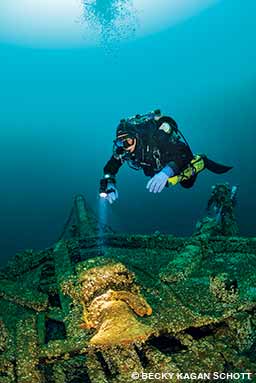 diver above shipwreck
