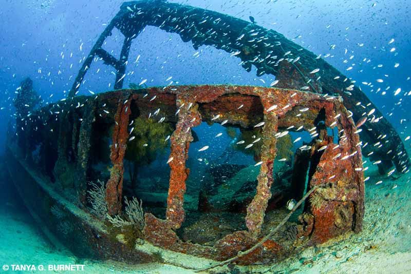 shipwreck La Paz