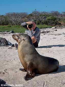 Stephen Frink photographs a Galápagos sea lion