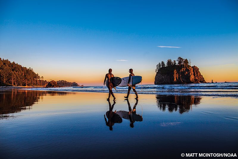 Surfers look seaward at dawn from a beach