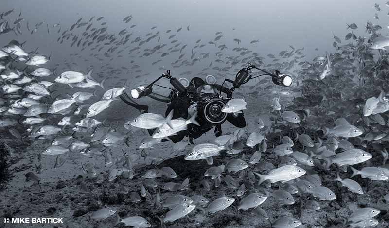 diver photographing a school of fish