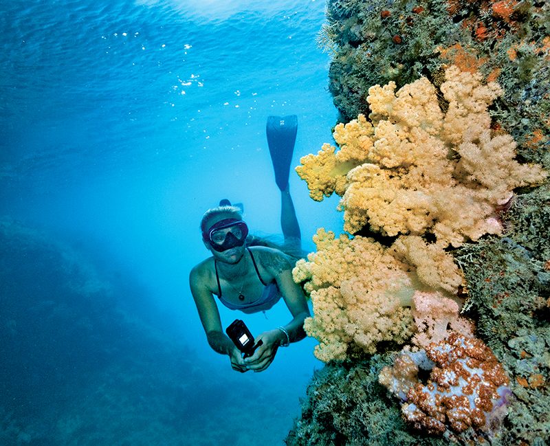 plongée en apnée à proximité de coraux mous