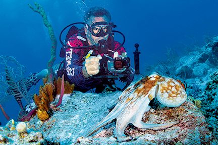 videographer records an octopus in the open