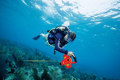 scuba diver taking measurements