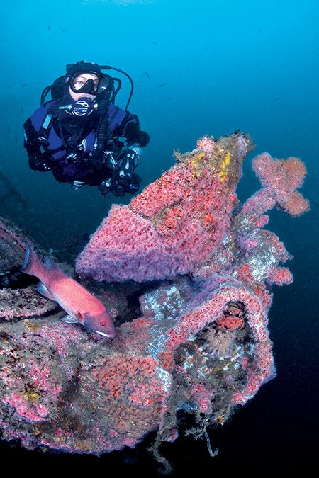 The author diving on the HCMS Yukon in San Diego, California