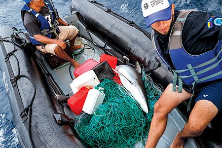 The global problem of illegal, undocumented, and unregulated fishing drives the shark-fin trade economy.