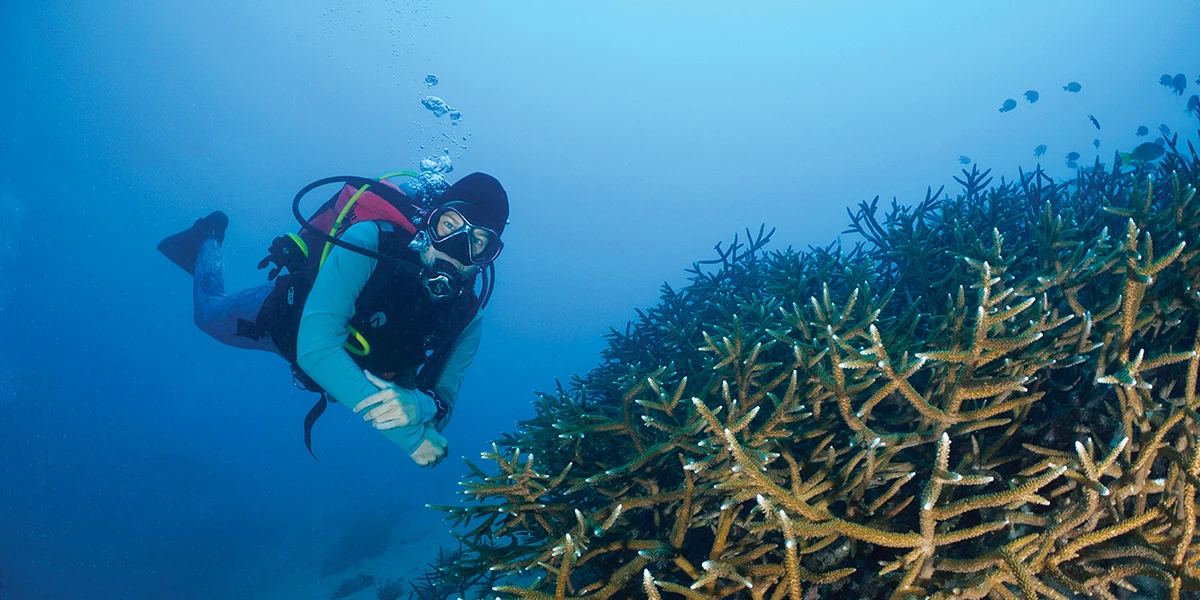 Dive instructor Kayla