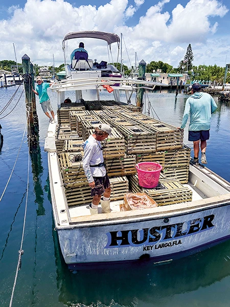 Commercial lobster fishers in Key Largo