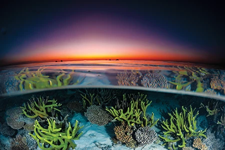 Sun set over Ningaloo Reef