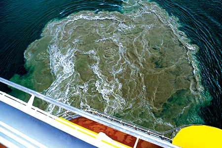 Large cruise ships create a massive amount of waste