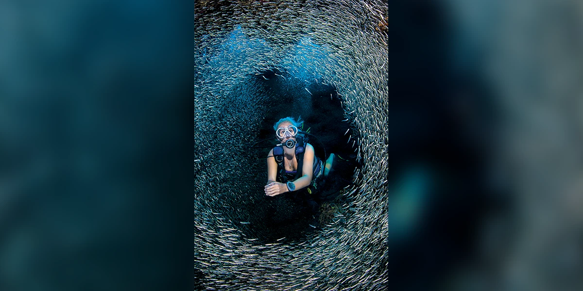 A diver swims through a school of silversides sheltering in a cave