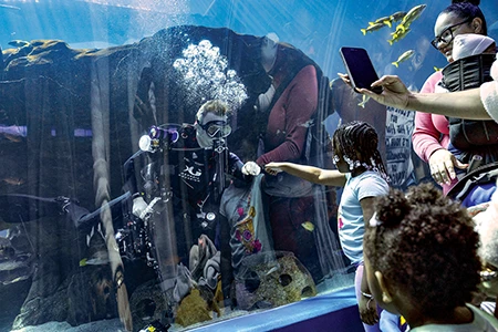 A diver plays a round of rock, paper, scissors with a guest through the tunnel in Ocean Voyager