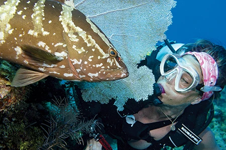 A Nassau grouper greets diver Angela Everhart 
