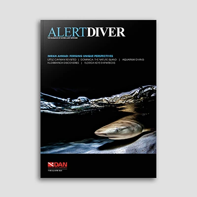 Alert Diver Q3