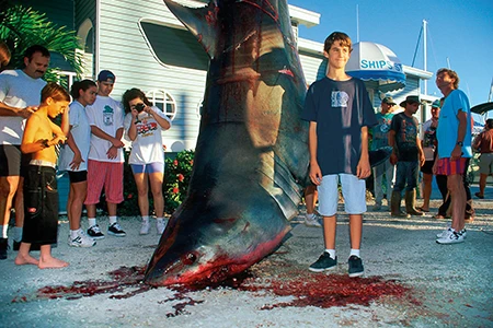 Angler caught great white shark.