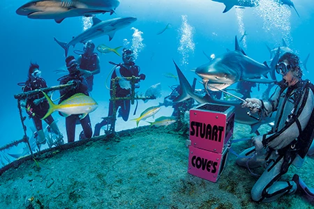 Divers and sharks underwater in the Bahamas. They pose next to pink blocks on the ocean floor that read "Stuart Coves."