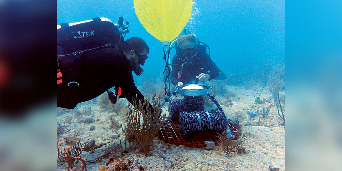 Jim Hench (right) installs a sensor at Eastern Dry Rocks with Mission: Iconic Reefs specialist James Emm.