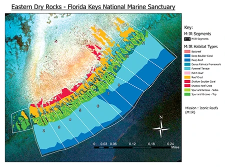 This schematic of Eastern Dry Rocks illustrates coral outplanting sites that will guide restoration.