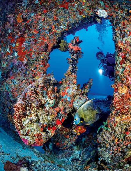 A diver views the propeller on the Lesleen M as a French angelfish swims by.  