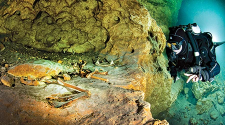 Cave diver Kevin Bond investigates animal bones inside of the Peacock Springs cave system.