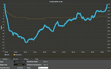 Allen’s dive profile
