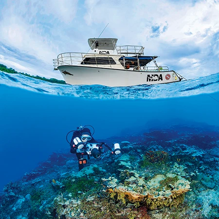 Coral below a Micronesian Divers Association (MDA) dive vessel.
