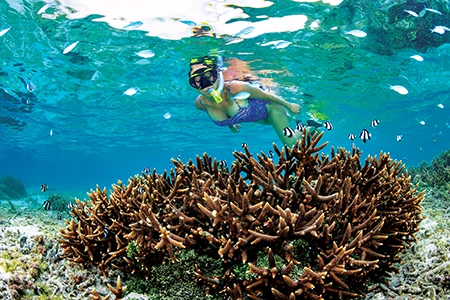 A snorkeler explores a shallow coral reef in Tumon Bay.