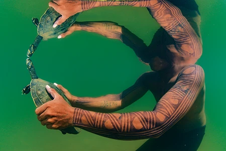 Indigenous guide Djokro Kayapo, with his reflection clear in the smooth waters of Brazil’s Iriri River, grasps a yellow-spotted river turtle.