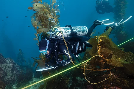 Hayashi and Okumura freedive in Ago Bay.