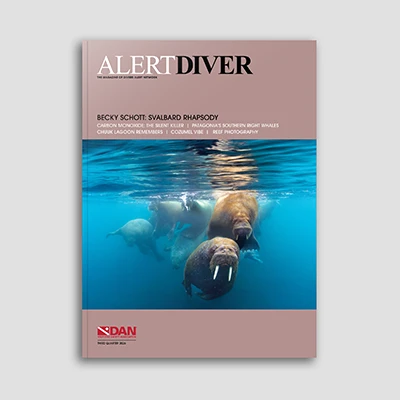 Q3 2026 cover